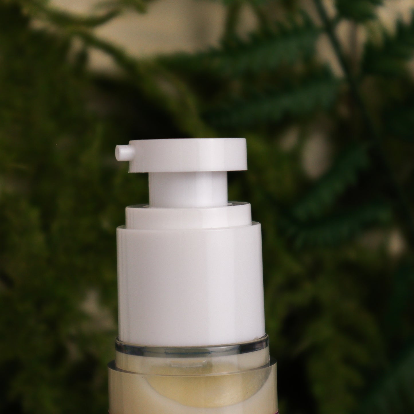 Bonnie Morn Face Lotion