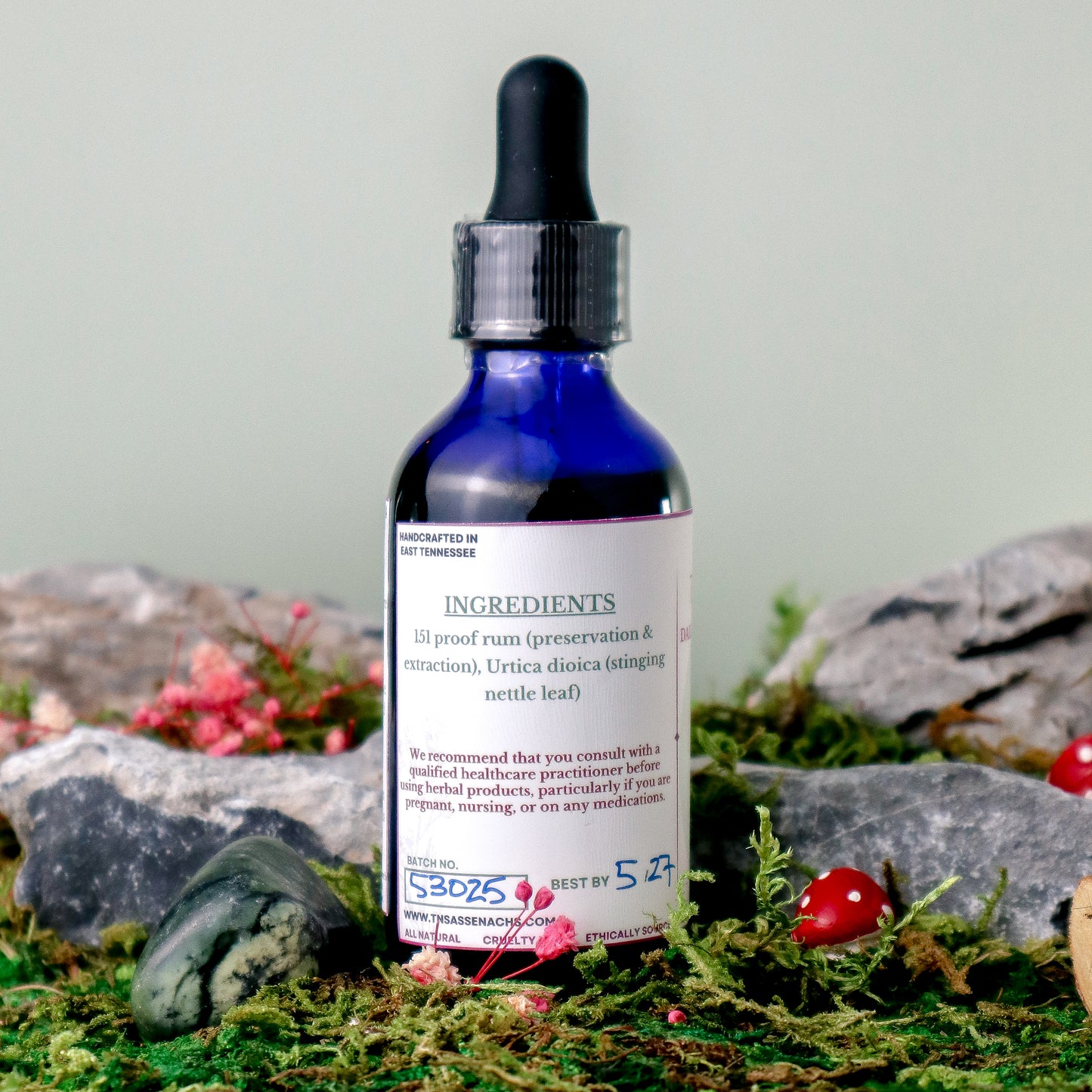 Nettle Tincture (Daily Tonic)