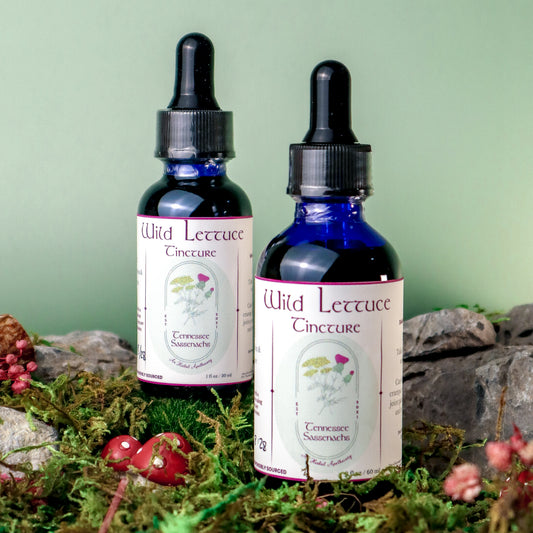 Wild Lettuce Tincture