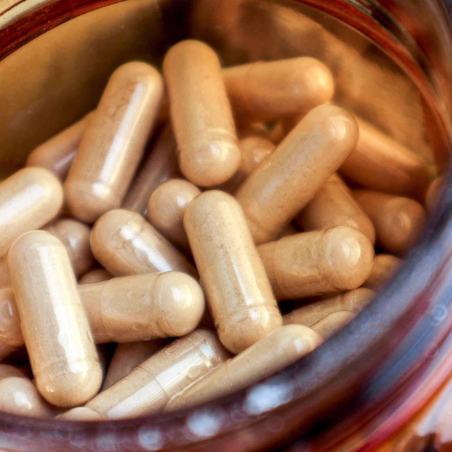 Ashwagandha Capsules