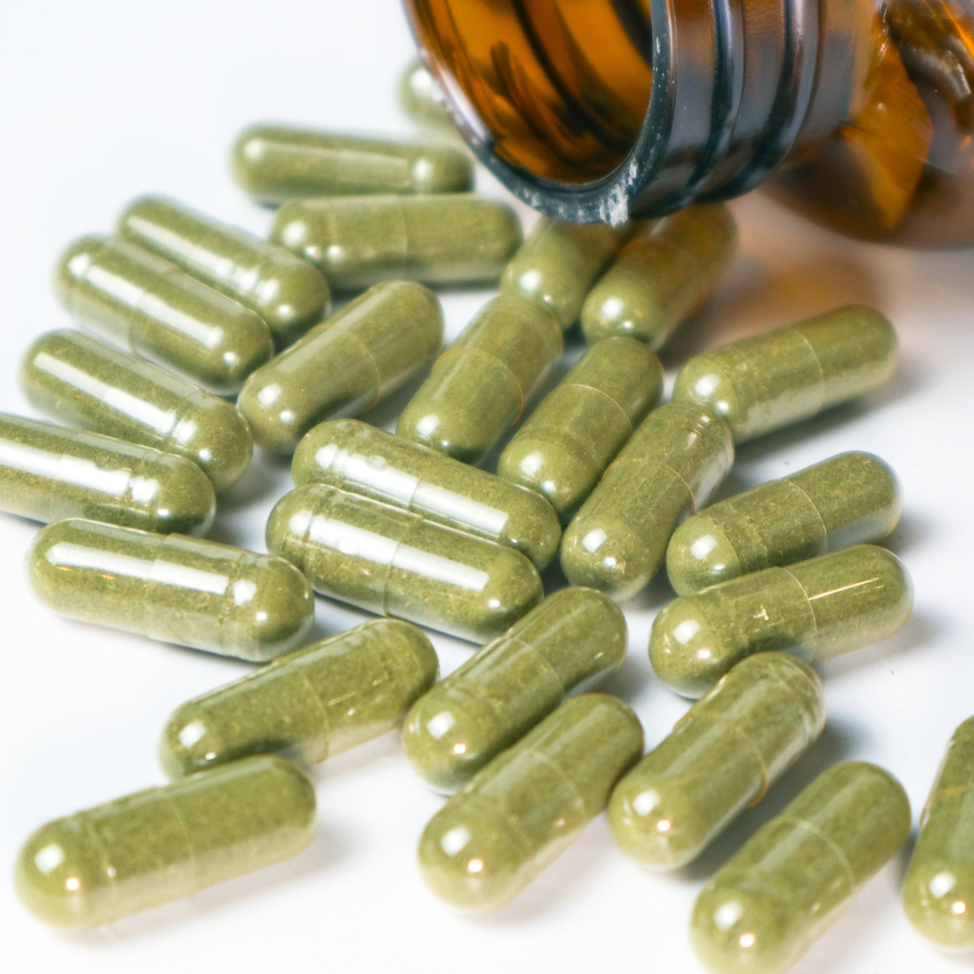 Stinging Nettle Capsules