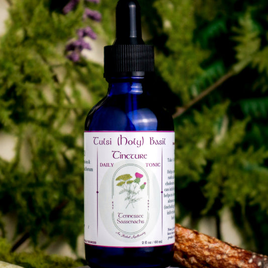 Tulsi (Holy) Basil (Adaptogenic Daily Tonic)