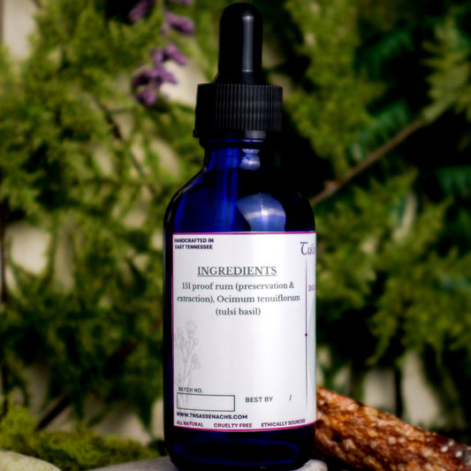 Tulsi (Holy) Basil (Adaptogenic Daily Tonic)